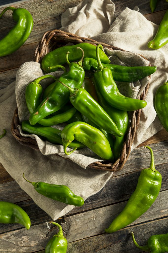 Tex-Mex vs New Mexican Cuisine | Key Regional Differences