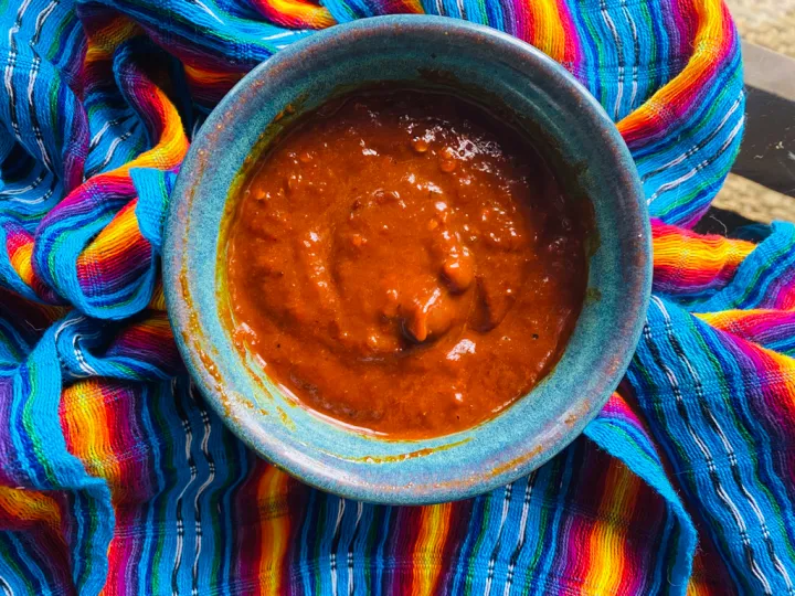 Blue ceramic bowl of thick red sauce resting on a vibrant striped blanket outdoors.